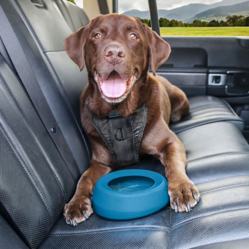 Kurgo Splash-Free Wander Dog Water Bowl, Blue image number null