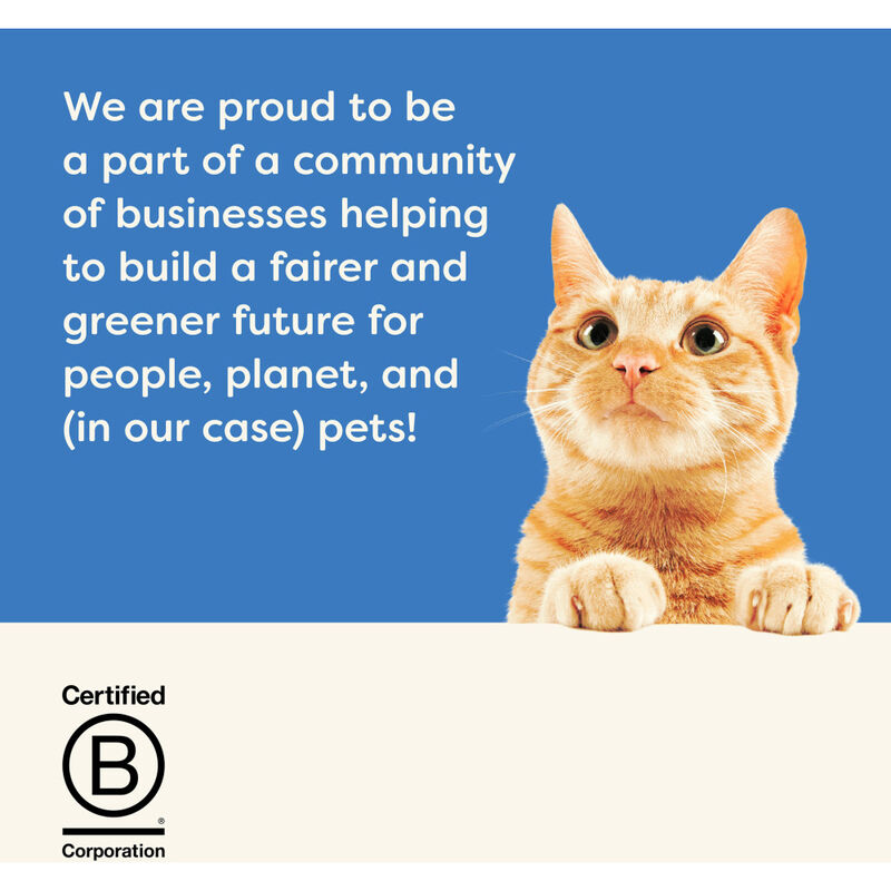 Applaws Natural Loin Cat Treat, Mackerel, 1.06-oz image number null