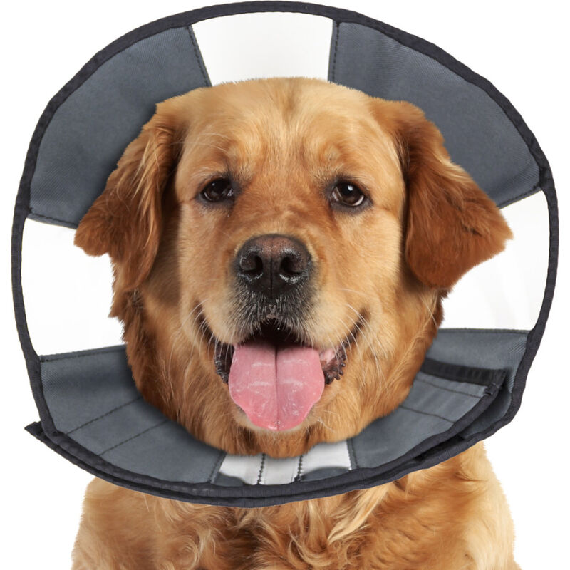 ZenPet Zen Cone Soft Recovery Pet Collar image number null