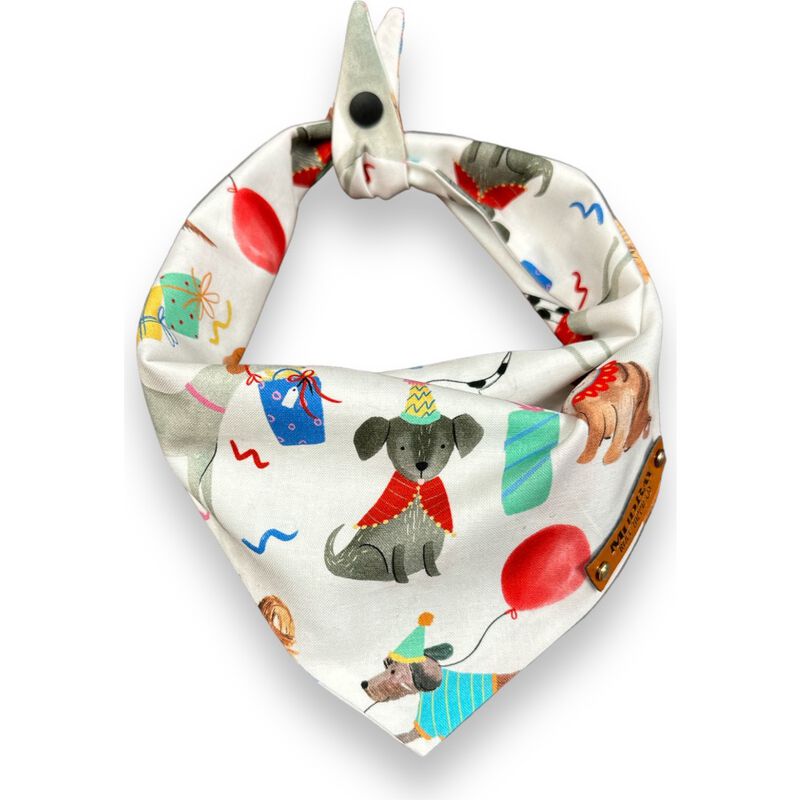 Mud Bay Dog Bandana, Doggie Birthday image number null