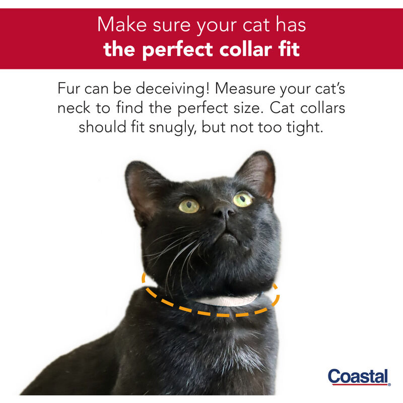 Coastal Lazer Brite Reflective Adjustable Breakaway Cat Collar, Orange Paws image number null