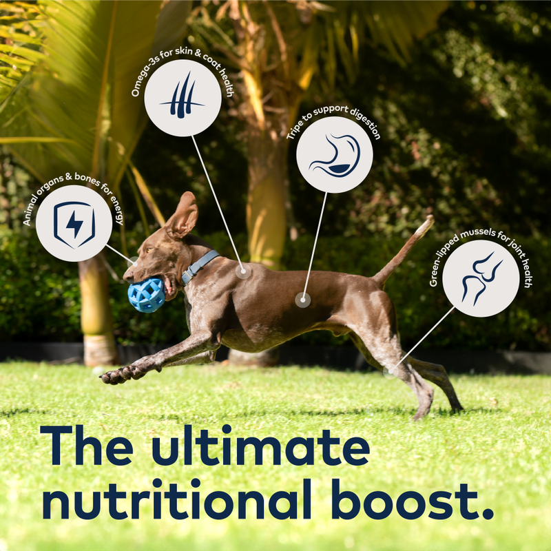 ZIWI Peak Original Series Air-Dried Dog Food, Mackerel & Lamb image number null