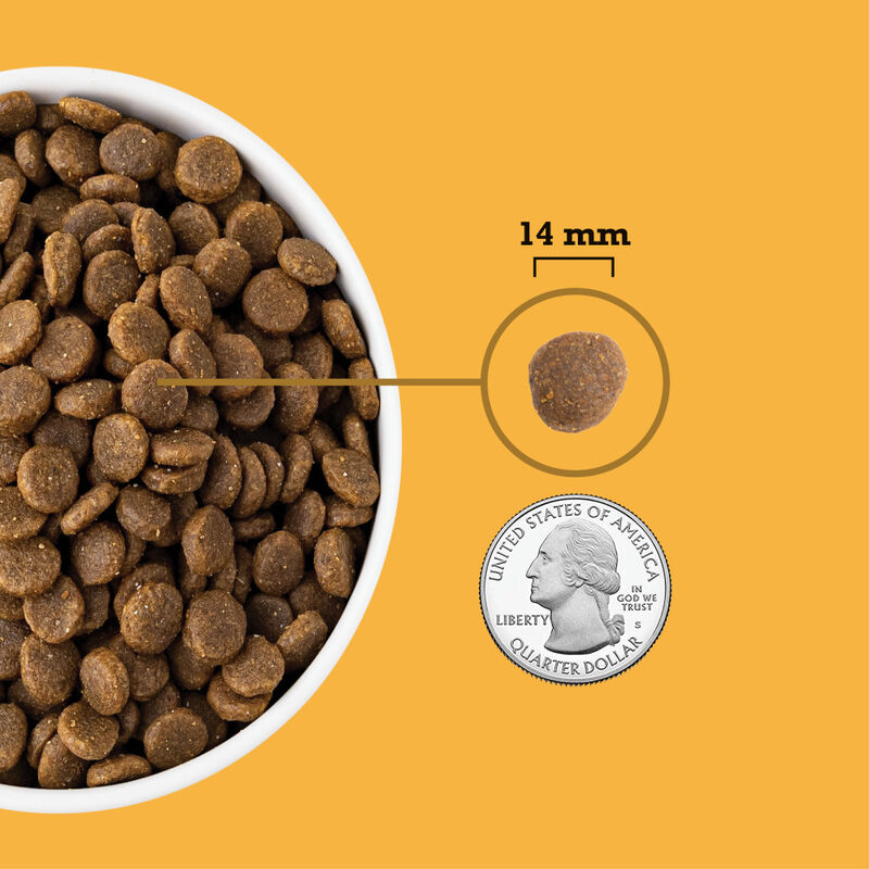 Acana Grain-Free Dry Dog Food, Free-Run Poultry, 25-lb image number null