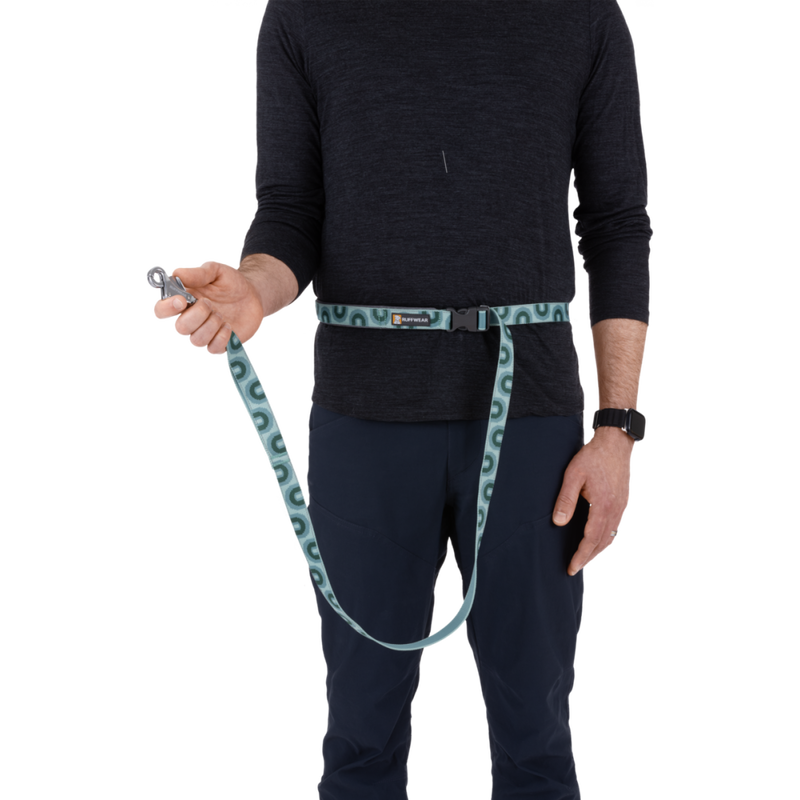 Ruffwear Crag Reflective Dog Leash, Grassy Oxbow, 3.5-6-ft image number null