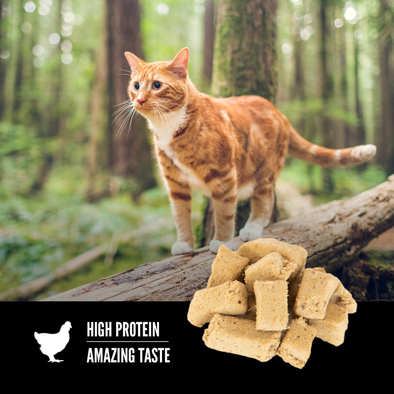 Orijen Freeze-Dried Cat Treats, Original, 1.25-oz image number null