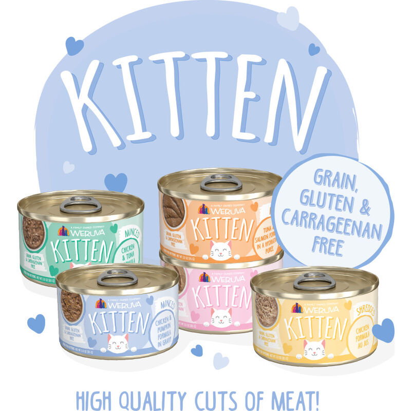 Weruva Kitten Canned Cat Food, Chicken & Pumpkin in Gravy, 3-oz image number null