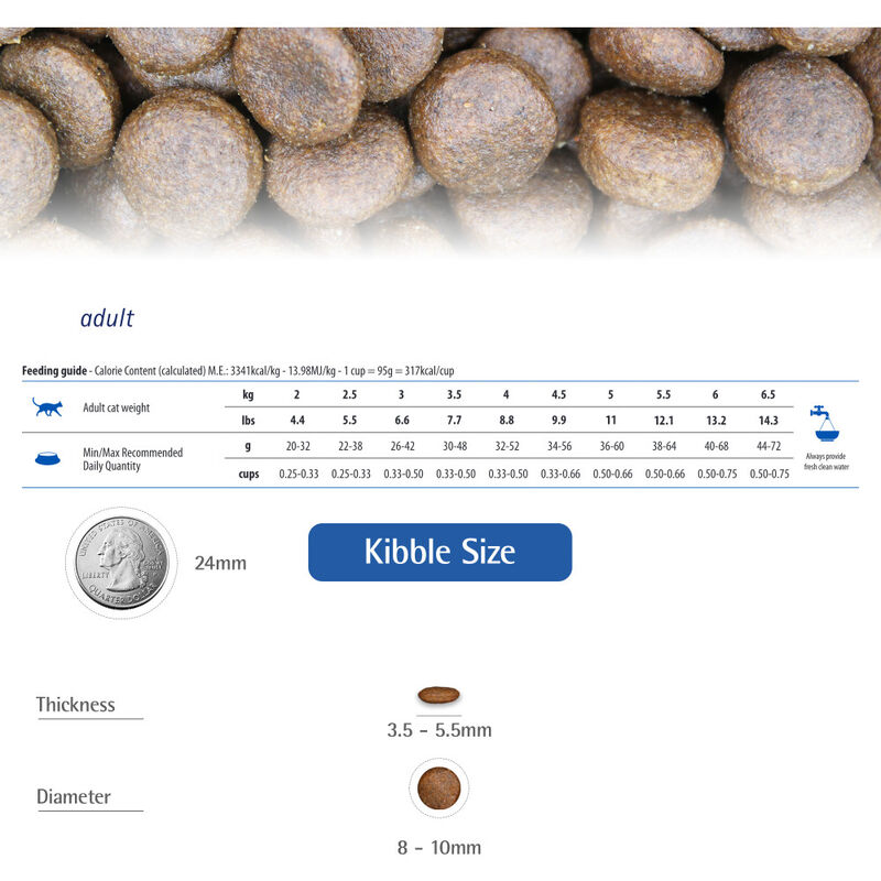 Farmina N&D Quinoa Dry Cat Food, Weight Management, Lamb, 3.3-lb image number null