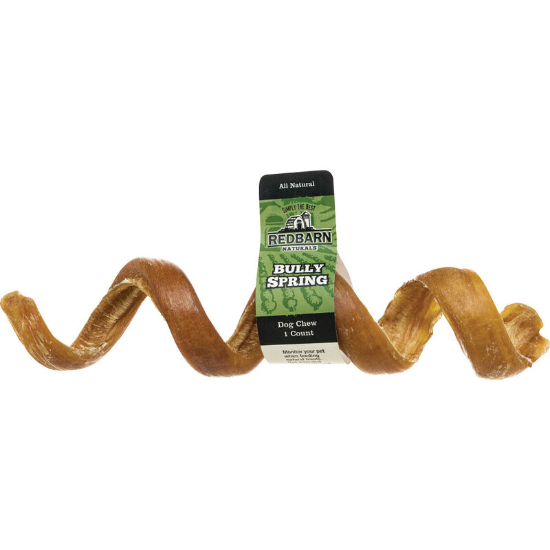 Redbarn Bully Dog Treat, Spring, 4-6-in image number null