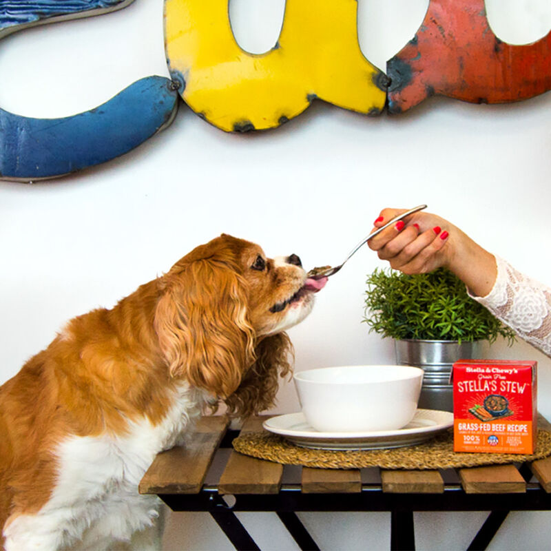 Stella & Chewy's Stella's Stew Wet Dog Food, Grass-Fed Beef, 11-oz image number null