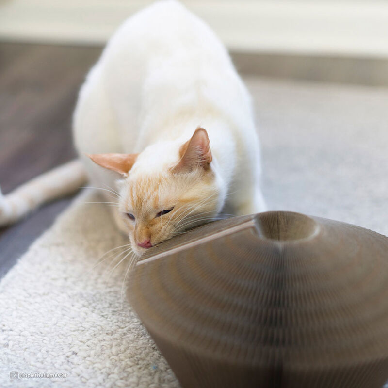 Turbo by Coastal Transform It! Corrigated Cardboard Tower Cat Toy, 20-in image number null