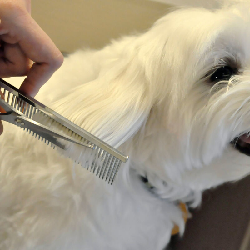 Safari Grooming Dog Comb for Medium and Fine Coats image number null