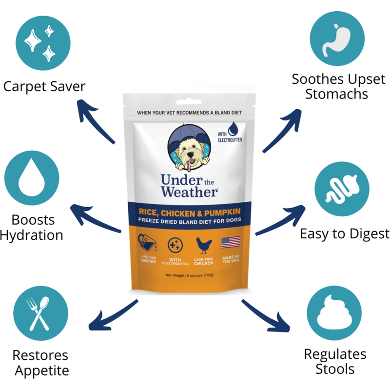 Under the Weather Bland Diet Freeze-Dried Supplemental Dog Food, Rice Chicken & Pumpkin, 6-oz image number null