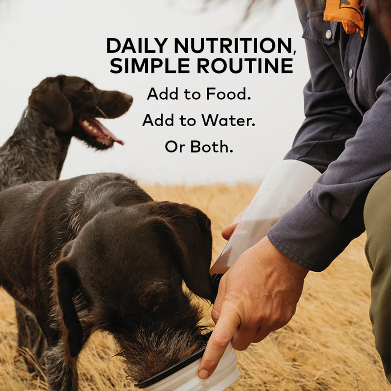 Furvor Bone Broth Hydration Pack Dog, Beef, .36-oz image number null
