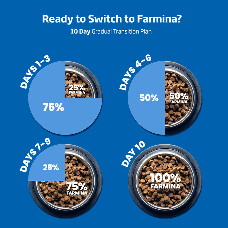 Farmina N&D Quinoa Dry Dog Food, Weight Management, Lamb image number null