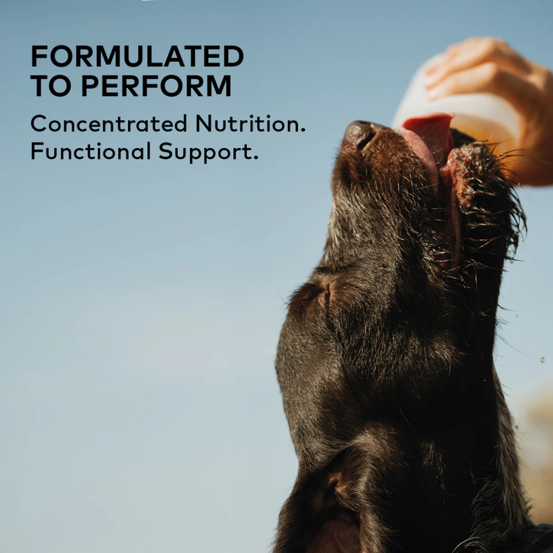 Furvor Bone Broth Hydration Pack Dog, Beef, .36-oz image number null