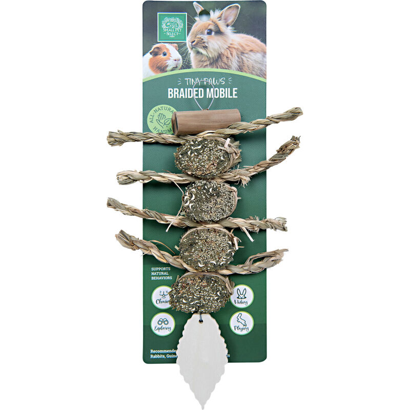 Small Pet Select Tiny Paws Braided Mobile Small Animal Chew Toy image number null