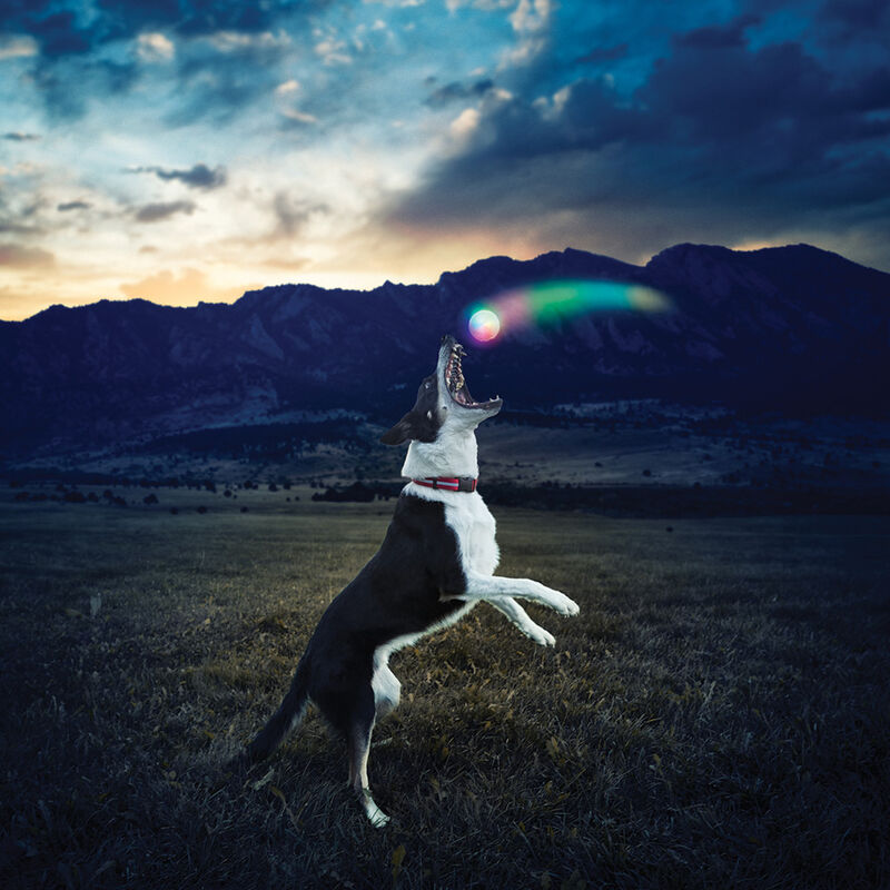Nite Ize GlowStreak LED Ball Dog Toy, Disc-O image number null