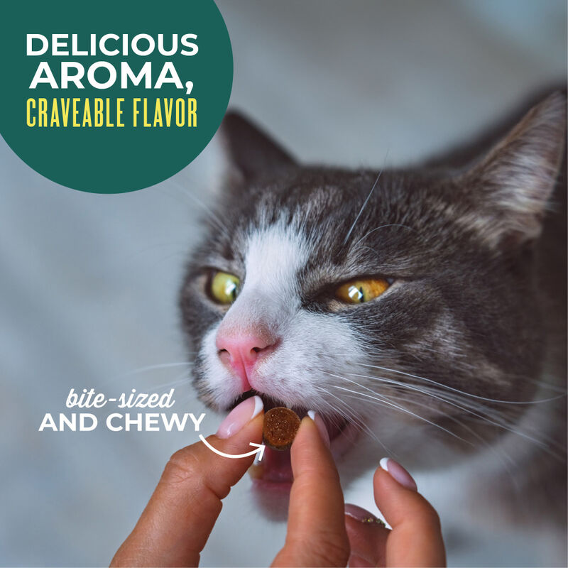 Tiki Cat Soft & Chewy Cat Treats, Tuna, 6-oz image number null