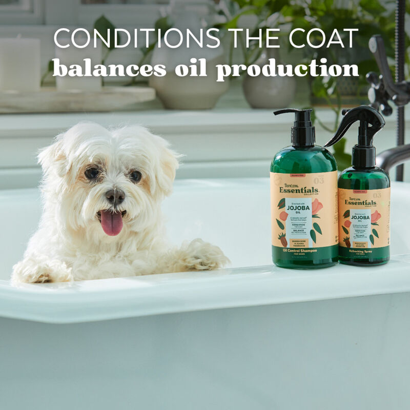 Tropiclean Essentials Oil Control Shampoo for Dogs, Jojoba, 16-oz image number null