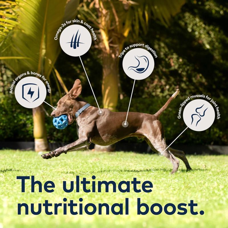 ZIWI Peak Original Series Canned Dog Food, Venison, 6-oz image number null