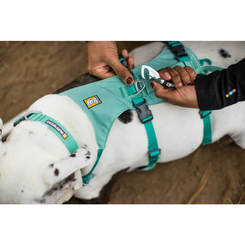 Ruffwear Flagline Dog Harness, Sage Green image number null