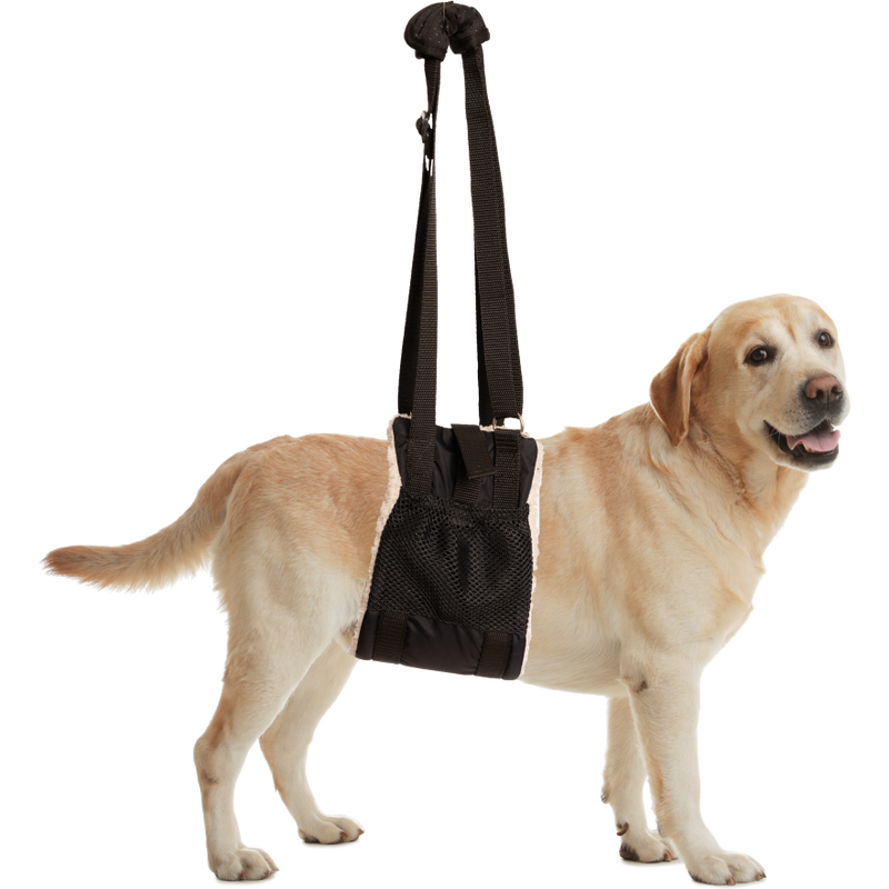 ZenPet Buddy Lift Canine Support & Rehabilitation Sling image number null