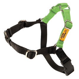 Dolan's Dog Doodads Wonder Walker Body Halter Dog Harness, Light Green