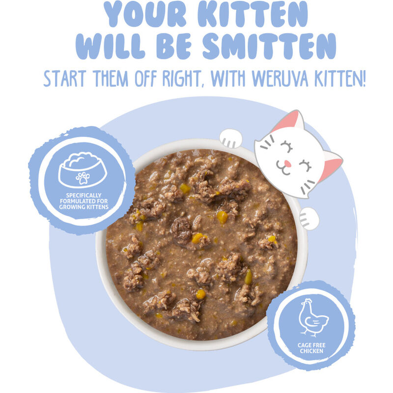 Weruva Kitten Canned Cat Food, Chicken & Pumpkin in Gravy, 3-oz image number null