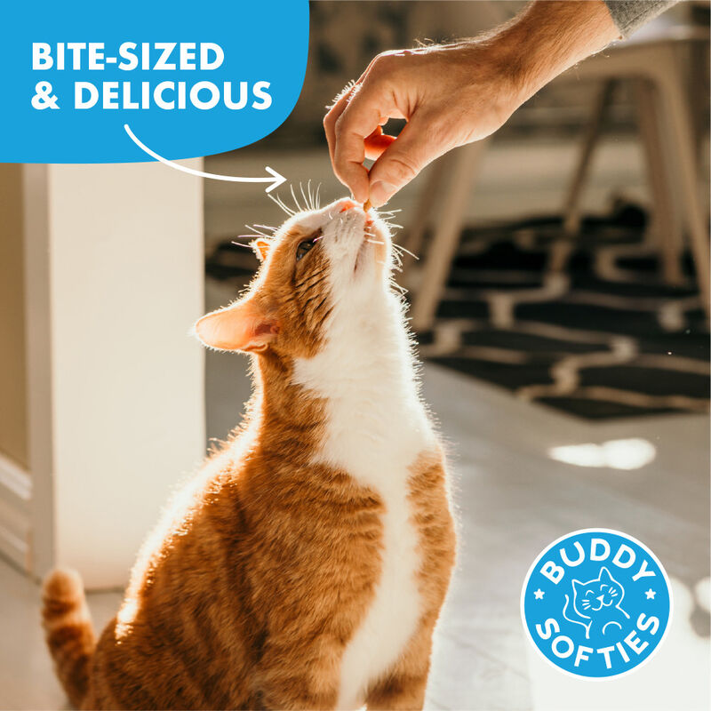 Buddy Biscuits Cat Treats, Chicken, 3-oz image number null