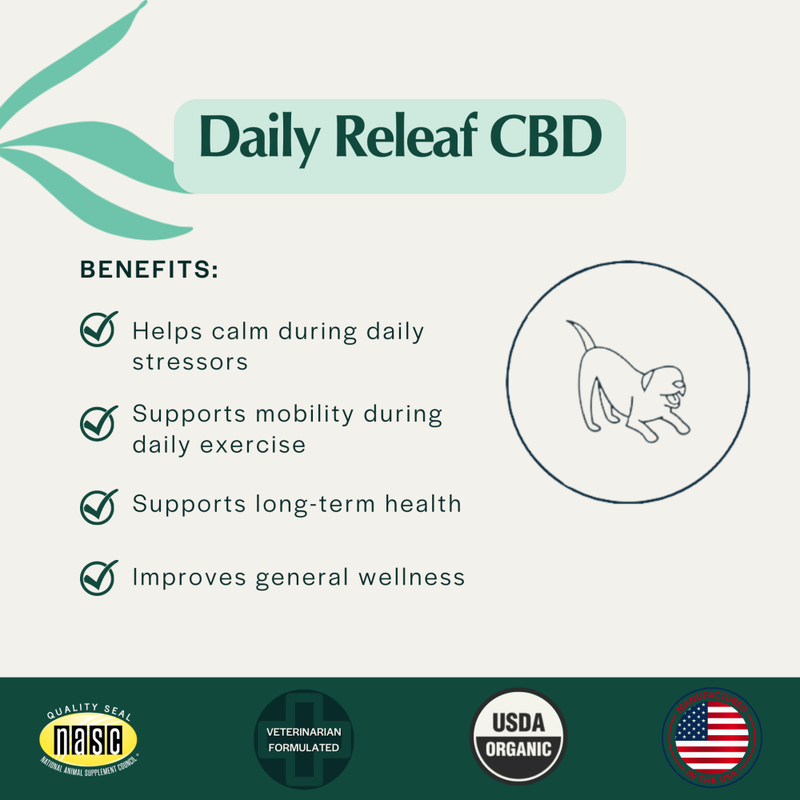 Pet Releaf Hemp Oil Daily Releaf Dog Supplement, 500 mg, 1-oz image number null