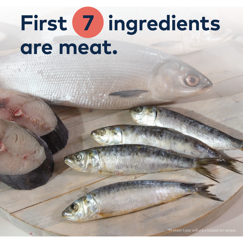 ZIWI Peak Steam & Dried Cat Food, South Pacific Fish image number null
