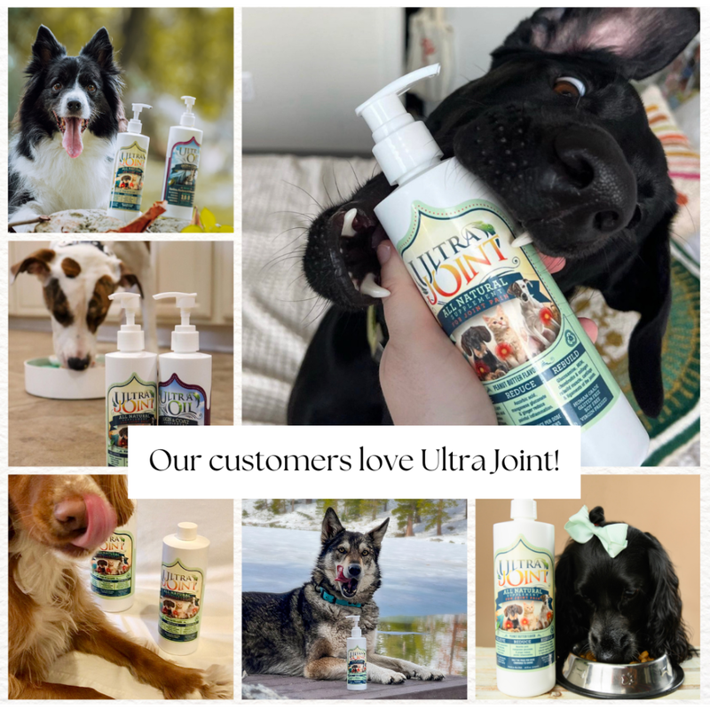 Ultra Oil Joint Dog & Cat Supplement, 16-oz image number null