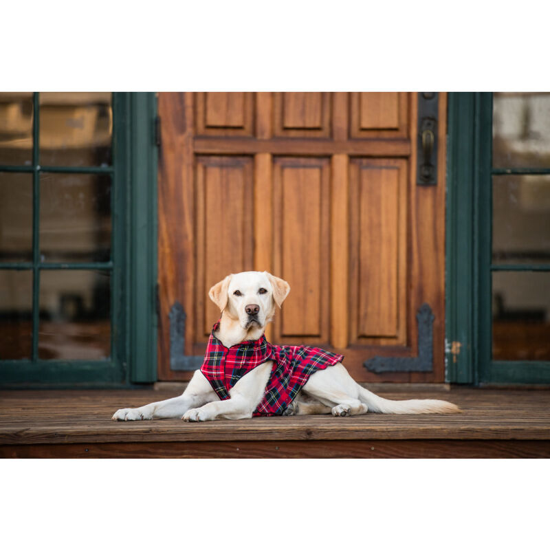 Gold Paw Stretch Fleece Dog Coat, Red Plaid image number null