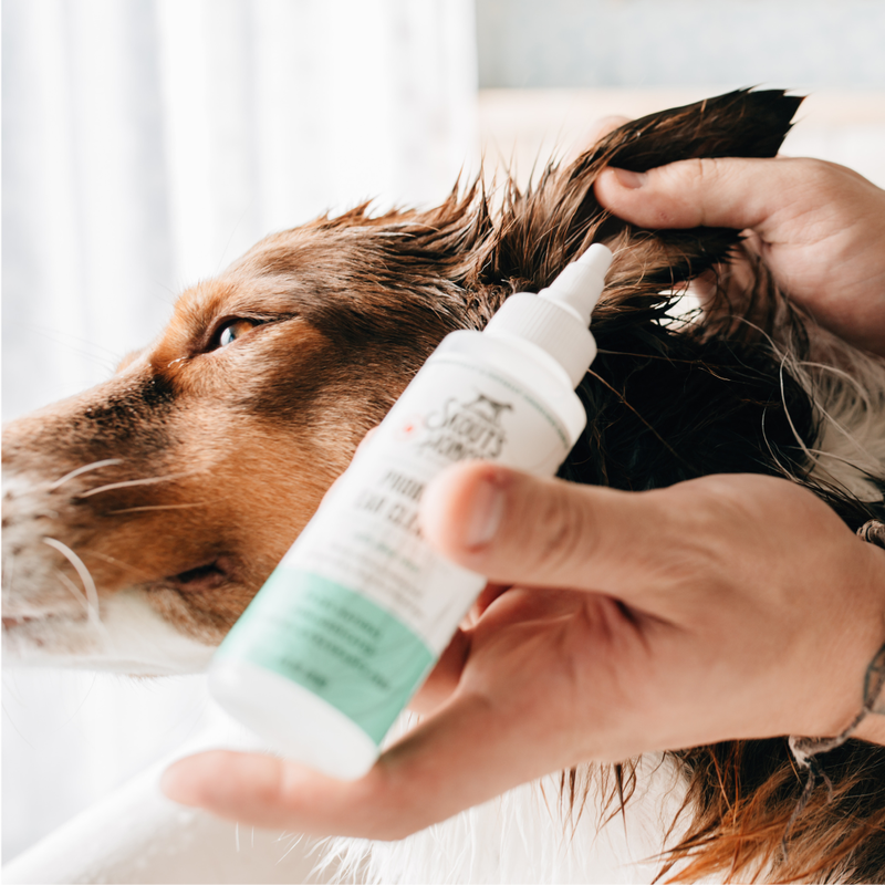 Skout's Honor Probiotic Pet Ear Cleaner, 4-oz image number null