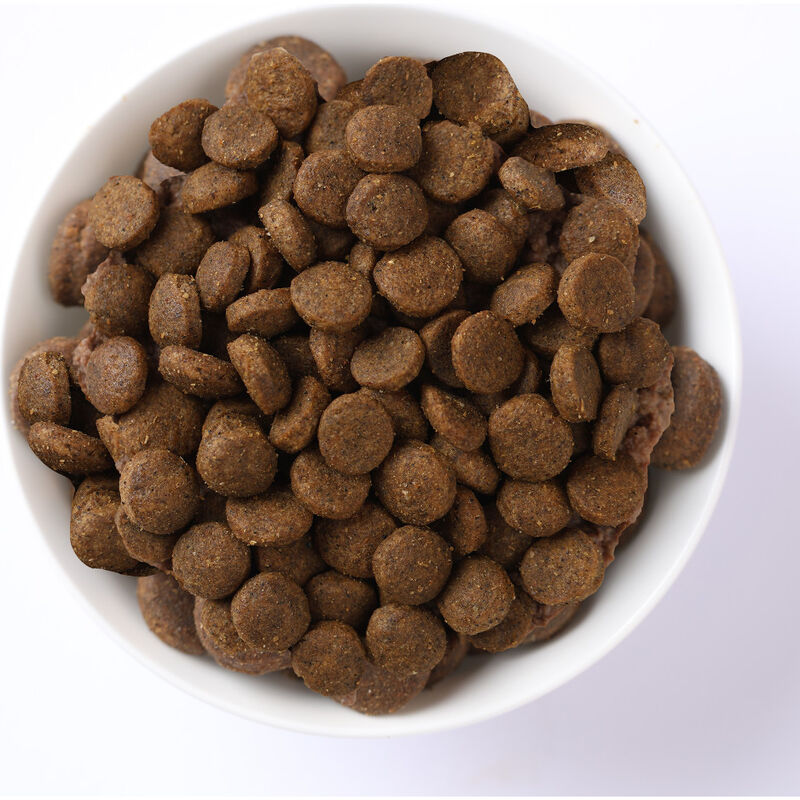 Farmina N&D Ocean Dry Cat Food, Herring Pumpkin & Orange, Adult, 3.3-lb image number null