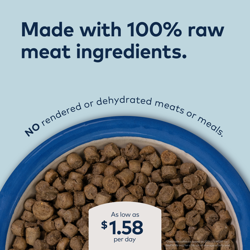 ZIWI Peak Steam & Dried Cat Food, South Pacific Fish image number null