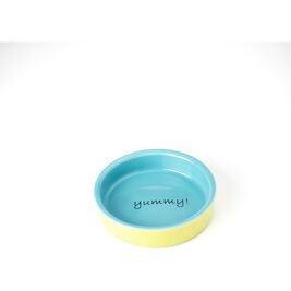 PetRageous Designs Yummy Time! Pet Bowl, Green/Blue, 6-oz