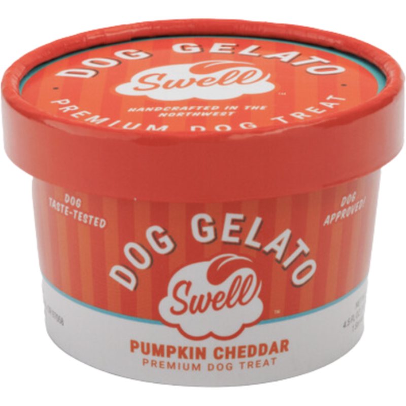 Swell Gelato Frozen Dog Treat, Pumpkin Cheddar, 4-oz image number null