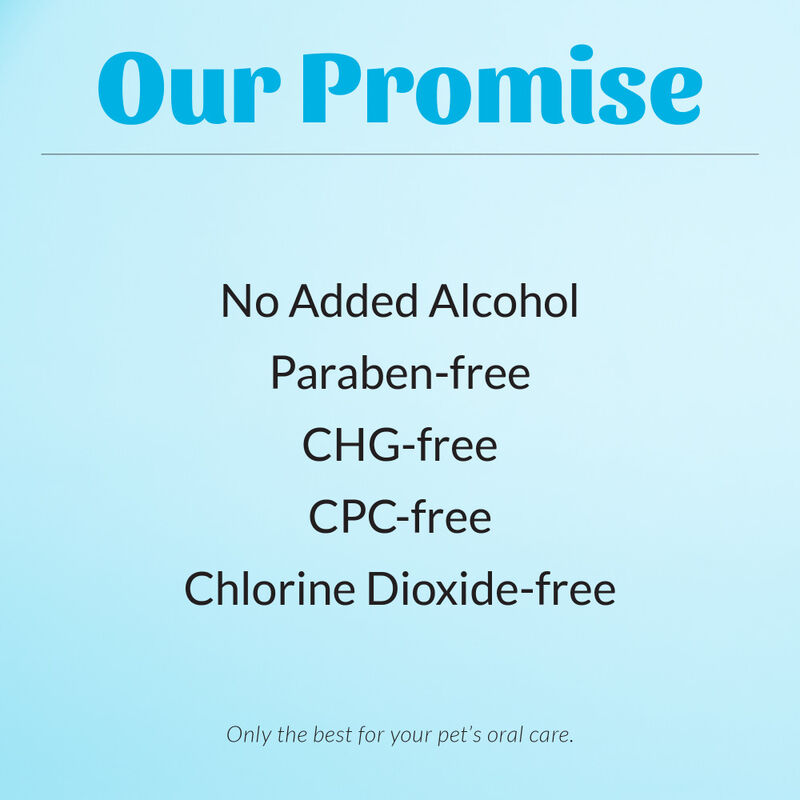 Skout's Honor Oral Care Dental Drops for Pets, Advanced Formula, 4-oz image number null