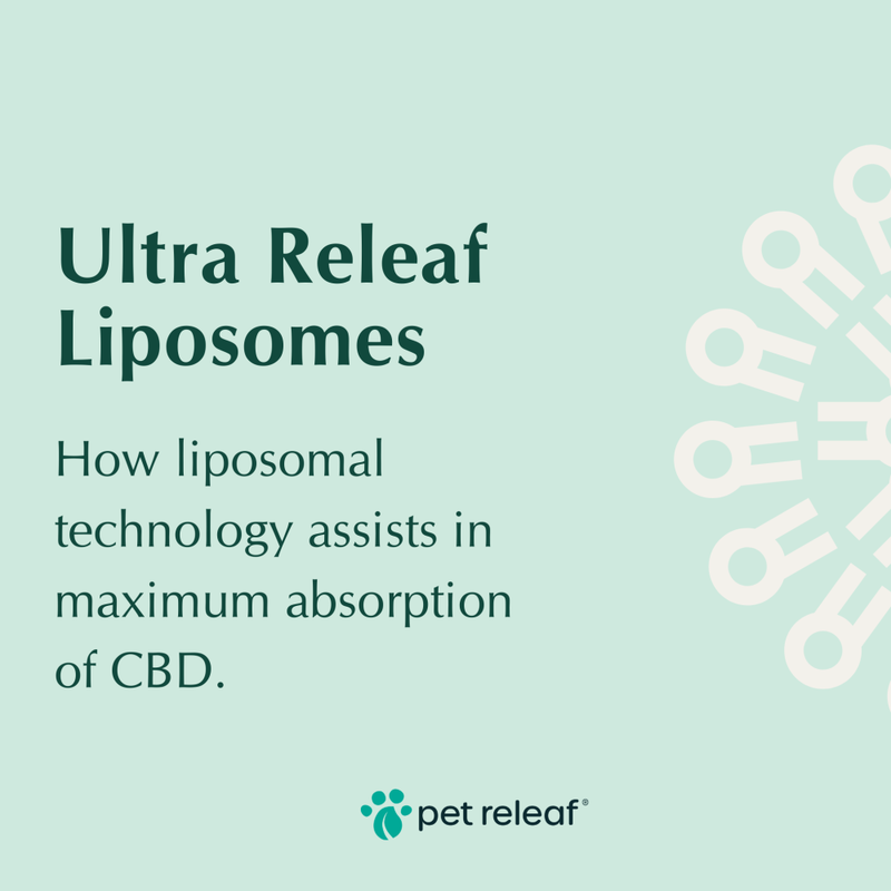 Pet Releaf CBD Liposome Hemp Oil Dog & Cat Supplement, Ultra Releaf 100, 30-ml image number null