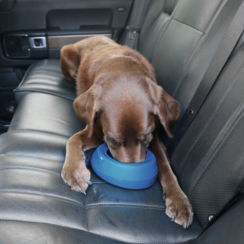 Kurgo Splash-Free Wander Dog Water Bowl, Blue image number null