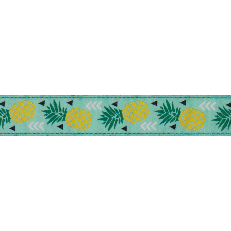 RC Pets Breakaway Cat Collar, Pineapple Parade image number null