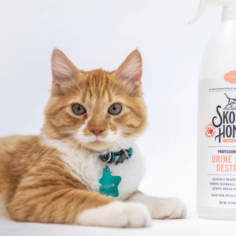 Skout's Honor Professional Strength Cat Urine & Odor Destroyer, 35-oz image number null