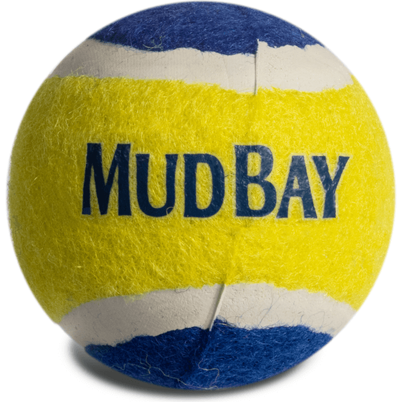 Mud Bay Squeaker Tennis Ball Dog Toy, Assorted Colors image number null