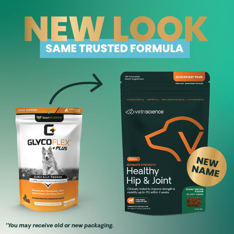 VetriScience Ultimate Strength Healthy Hip & Joint Soft Chews Supplement for Dogs over 30 lbs, Peanut Butter, 45-count image number null