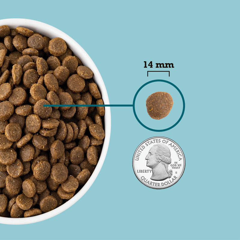 Acana Grain-Free Dry Dog Food, Freshwater Fish, 25-lb image number null