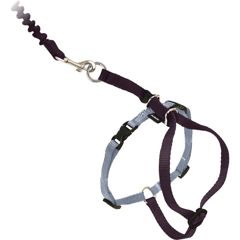 PetSafe Come With Me Kitty Harness & Bungee Cat Leash, Black/Silver image number null