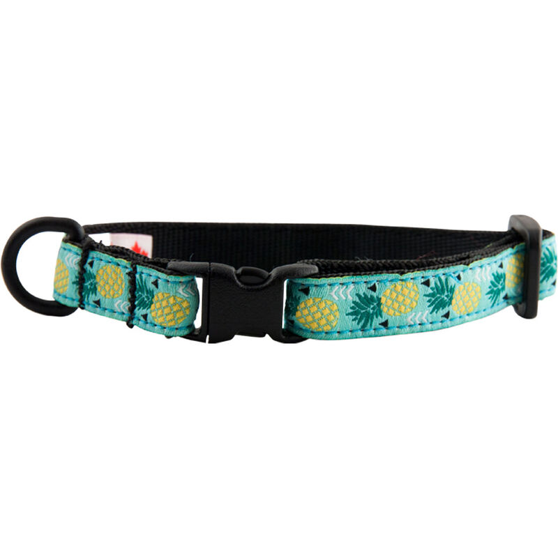 RC Pets Breakaway Cat Collar, Pineapple Parade image number null