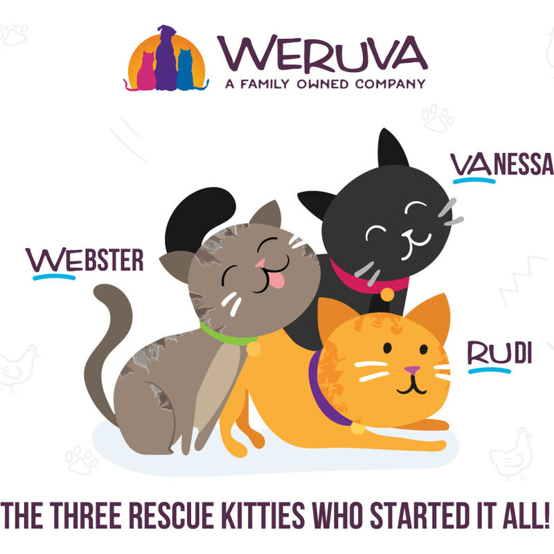 Weruva Classic Canned Cat Food, Variety Pack, Meow You Doin'?, 3-oz, 12-pack image number null