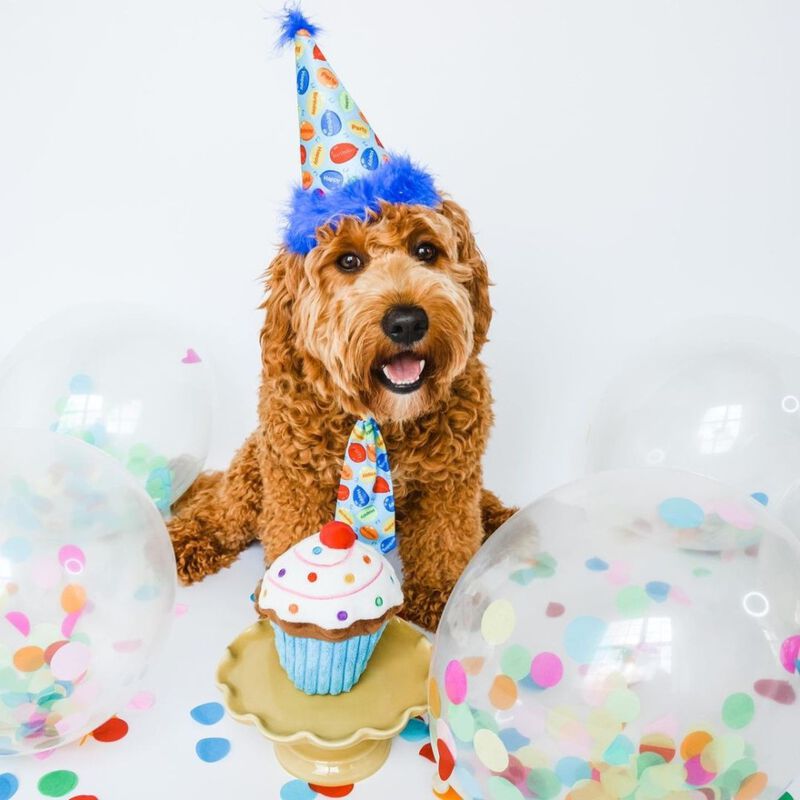Huxley & Kent Pet Party Hat, Party Time Blue image number null